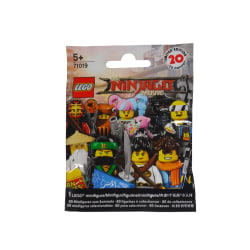 En Påse - LEGO Minifigures 71019 Serie The Ninjago Movie flerfärgad