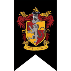 BLACK FRIDAY Harry Potter Flagga svart bakgrund 125*75 cm - Gryffindor Gryffindor
