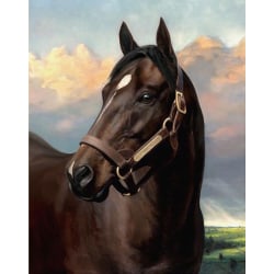 30 x 40 cm, svart häst Diamond painting Broderi Diamantfärg