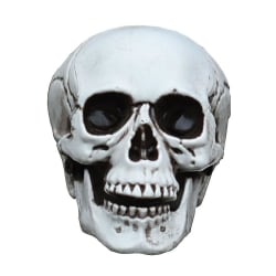 1 st Skull Prop Plast Simulering Skelett Dekor Party Tricky Toy