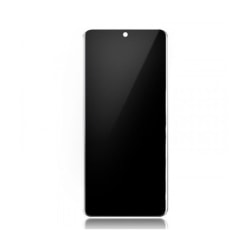 Samsung Galaxy S20 Ultra Skärm med LCD Display - Svart