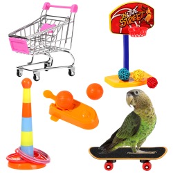 Parrot Toys Intelligence Training 4 Styck