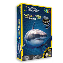 National Geographic Experiment Shark Tooth Dig Kit multifärg