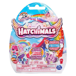 Hatchimals Family Surprise s11 multifärg