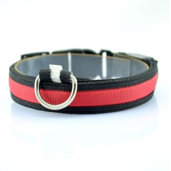 LED Lysande Halsband till hund - Flera färger Röd M