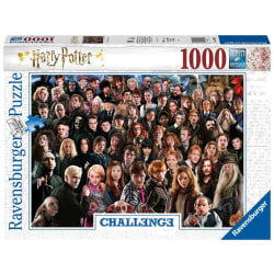 Pussel - Challenge: Harry Potter 1000 bitar multifärg