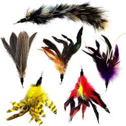 6st Cat Toy Replacement Wand Feather Refills for Interactive