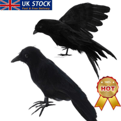 1*Halloween fylld fjäderkråka fågel svarta korpar Fancy Dress B