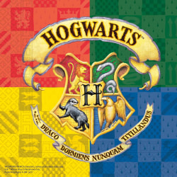 20 kpl Harry Potter Tylypahkan lautasliinat Multicolor one size