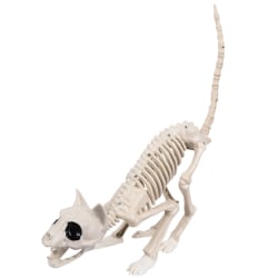 Halloween Skeleton Cat Skeleton Cat Decor Realistic Posable Ani Other one size