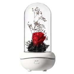 Immortal Flower Aromaterapilampa Med Sömnlampa Semesterpresent Roslampa Inbyggt batteri USB -laddning Röd rökelseblåsare