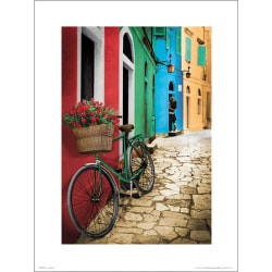 Eksklusivt kunsttryk - Cykel - Blomster Multicolor