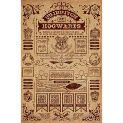 Harry Potter - Quidditch At Hogwarts Multicolor