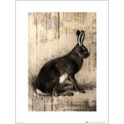 Ainutlaatuinen taidevedos - Hare Sketch Multicolor