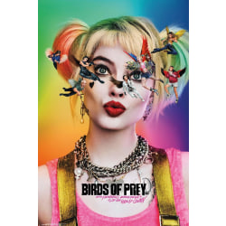 Birds of Prey - One Sheet Harley Quinn multifärg