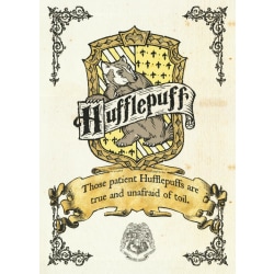 A3 Print - Harry Potter - Hufflepuff Crest multifärg
