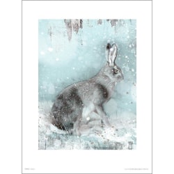 Eksklusivt kunsttryk - Hare om vinteren - Hare i vinterlandskab Multicolor
