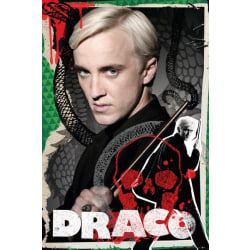 HARRY POTTER - Draco Multicolor