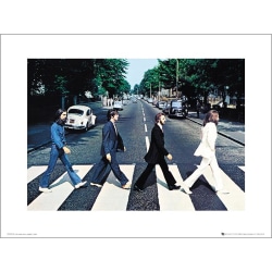 Eksklusiivinen taidevedos - The Beatles - Abbey Road Multicolor