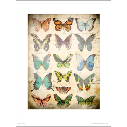 Eksklusiivinen taidevedos - Butterflies Vintage - Butterflies Multicolor