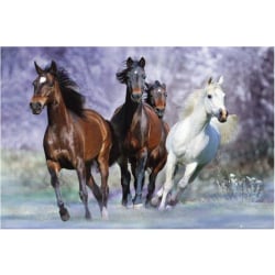 Plakat - Bob Langrish - Løb, Heste Multicolor