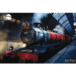Harry Potter - Hogwarts Express Multicolor
