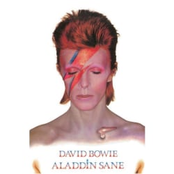 David Bowie - Aladdin Sane Multicolor