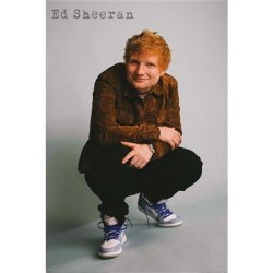 Ed Sheeran (kyykistyy) Multicolor