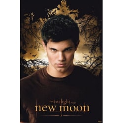 Twilight New Moon - Jacob multifärg