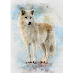 A3 Print - White Wolf - Vit Varg multifärg