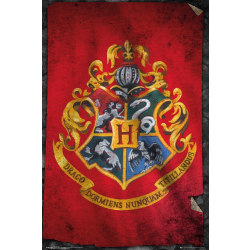 Harry Potter - Hogwarts Flag Multicolor