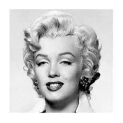 Eksklusiivinen taidevedos - Marilyn Monroe - kasvot Multicolor