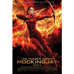 The Hunger Games Mockingjay 2 multifärg