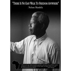 Nelson Mandela Walk to Freedom multifärg