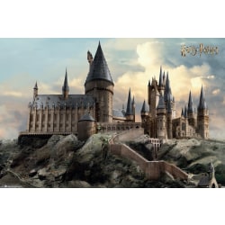 Harry Potter - Quidditch At Hogwarts Multicolor