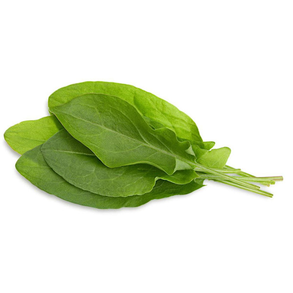 Click & Grow Smart Garden refill Green Sorrel 3pcs