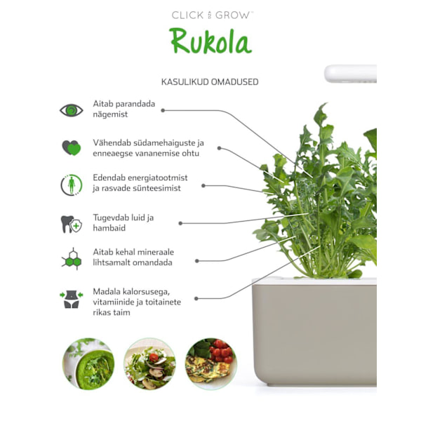 Click & Grow Smart Garden refill Arugula 3pcs