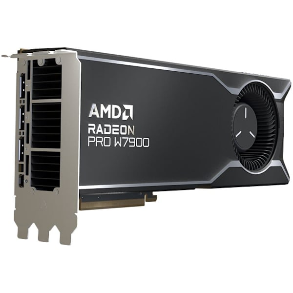 AMD Radeon PRO W7900 48 GB GDDR6