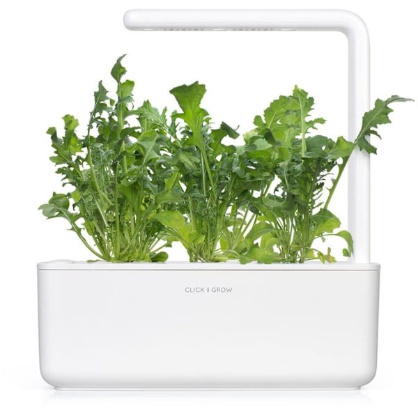 Click & Grow Smart Garden refill Arugula 3pcs