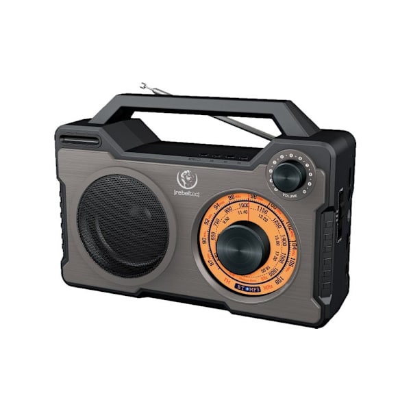 Głośnik Bluetoooth/Radio RODOS