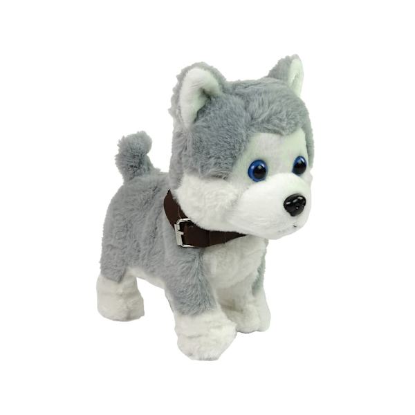Plush Dog Interactive Educational Leash Songs Walks
