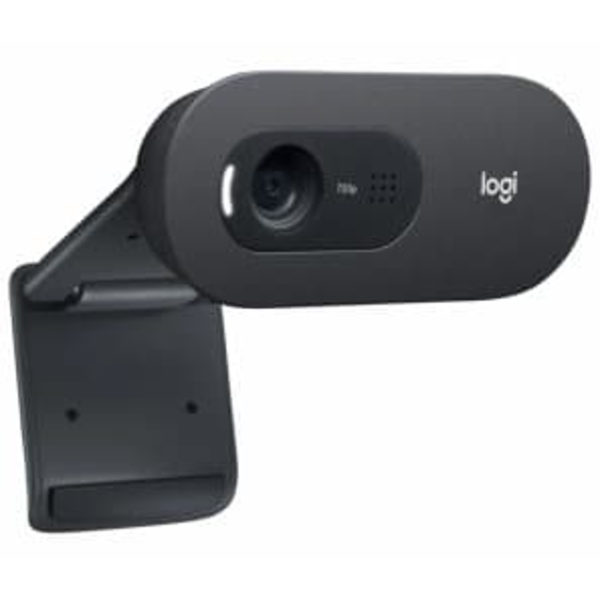 Logitech C505 HD Webcam with Long Range Microphone Sort