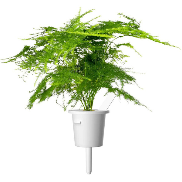Click & Grow Smart Refill Feather spar 3pcs