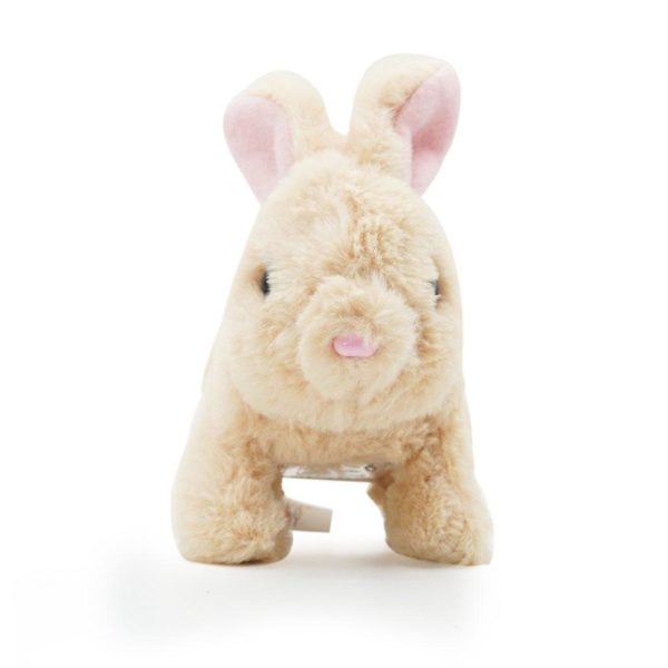 PUGS AT PLAY Cookie Jumping Rabbit