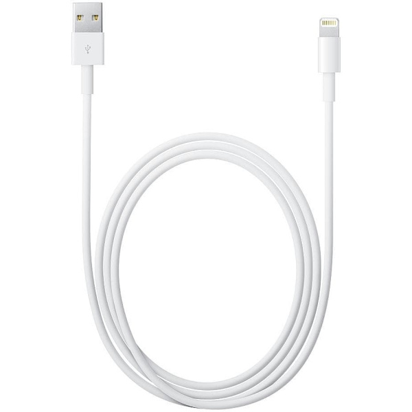 Apple Lightning to USB Cable (0.5 m)
