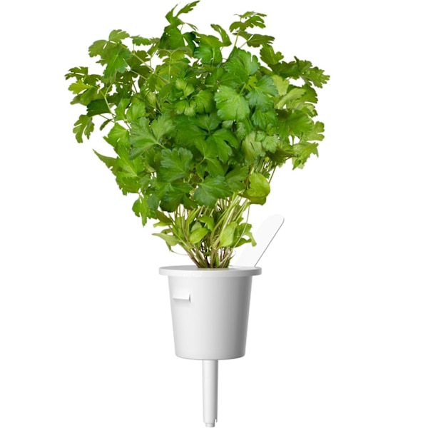 Click & Grow Plant Pod Steak Mix 9pcs