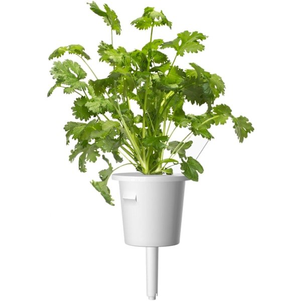 Click & Grow Plant Pod Steak Mix 9pcs
