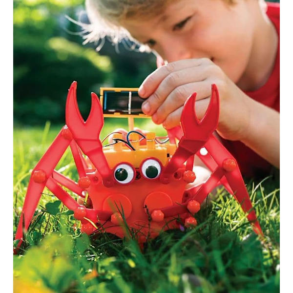 Zestaw Hybrydowy krab