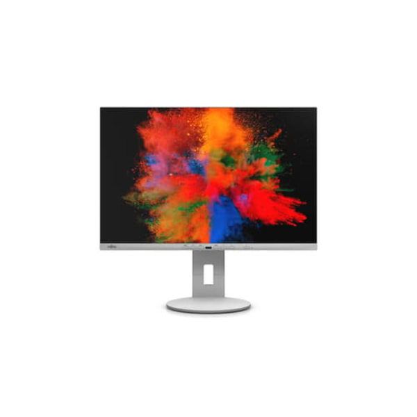 Fujitsu DISPLAY B2410 WE, EU, "S26361-K1697-V140" (timbru verde 7 lei) Grå
