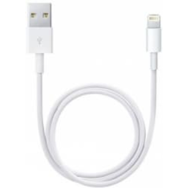 Apple Lightning to USB Cable (1В m)